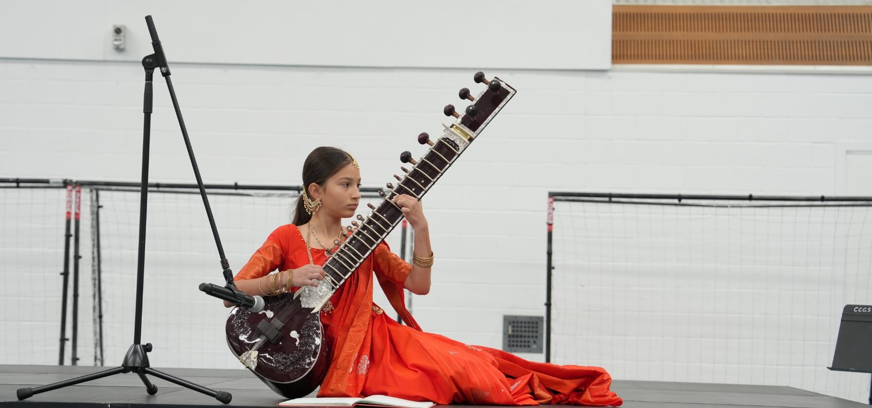Girl in Indian dress playing a sitar