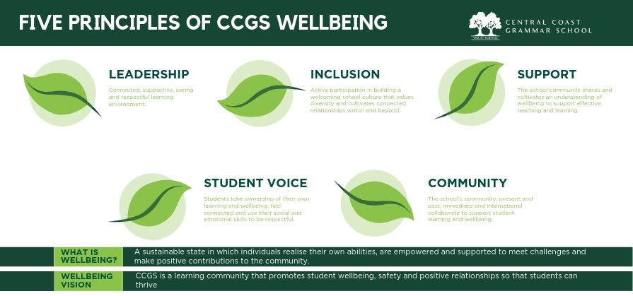 CCGS Wellbeing Framework
